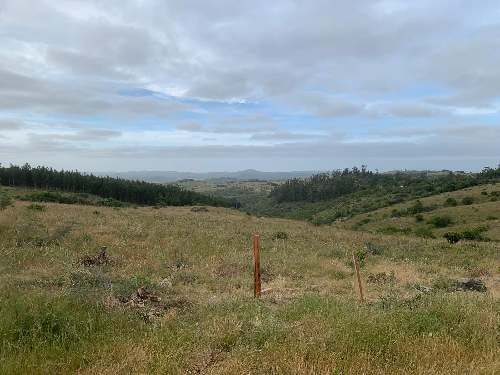 Espacio Ab-bá Maldonado Uruguay paisaje